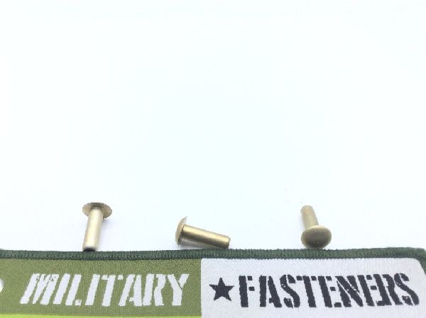 MS20470AD6-10 Solid Rivet (4)
