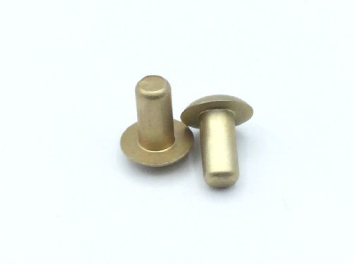 MS20470D4-4 Solid Rivet
