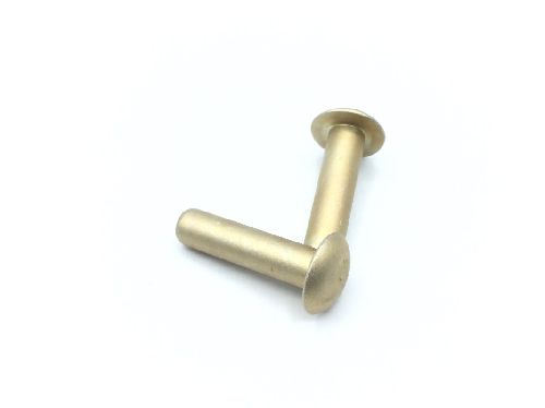MS20470D5-10 Solid Rivet