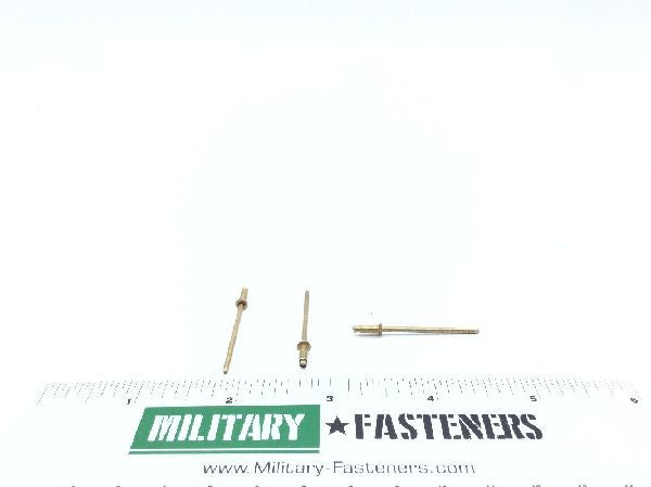 MS20605S3W3 Blind Rivet (2)