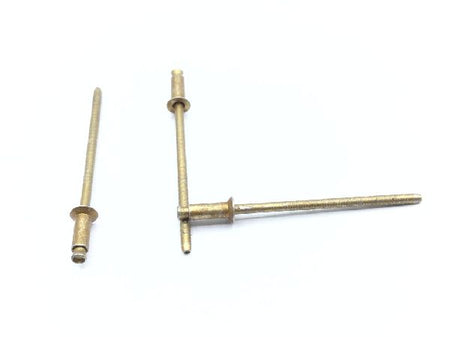 MS20605S3W3 Blind Rivet (5)