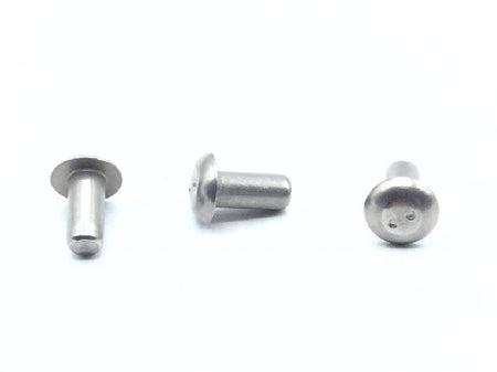 MS20615-5M5.5 Solid Rivet