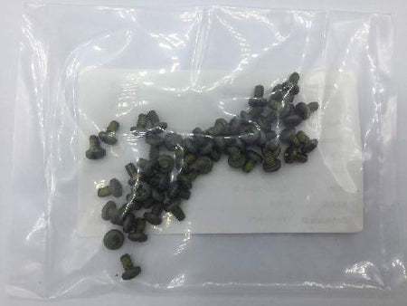 MS21090-0620 Machine Screw