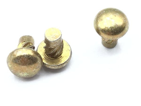MS21318-20 Drive Screw (5)