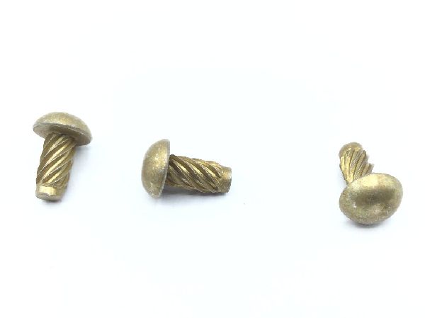 MS21318-46 Drive Screw (4)
