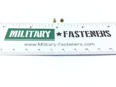 MS24693-S17 Machine Screw (2)