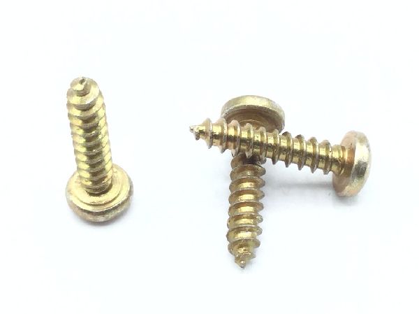 MS51861-15 Tapping Screw (5)