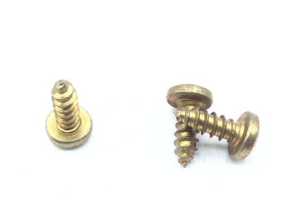 MS51861-24 Tapping Screw (5)