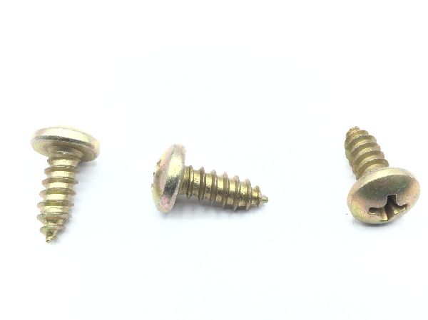 MS51861-45 Tapping Screw (4)