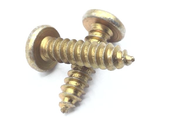MS51861-47 Tapping Screw (4)