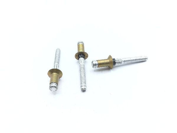 MS90353-0603 Blind Rivet (5)