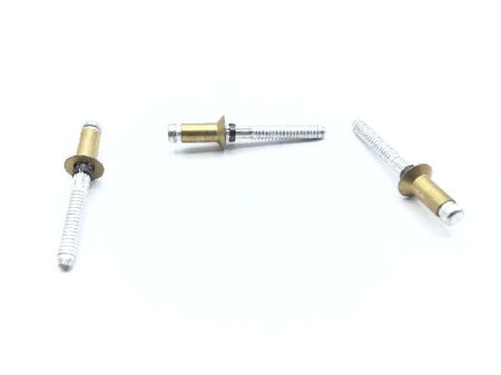 MS90353-0604 Blind Rivet (4)