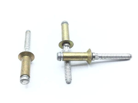 MS90353-0607 Blind Rivet (5)