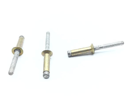 MS90353-0609 Blind Rivet (6)