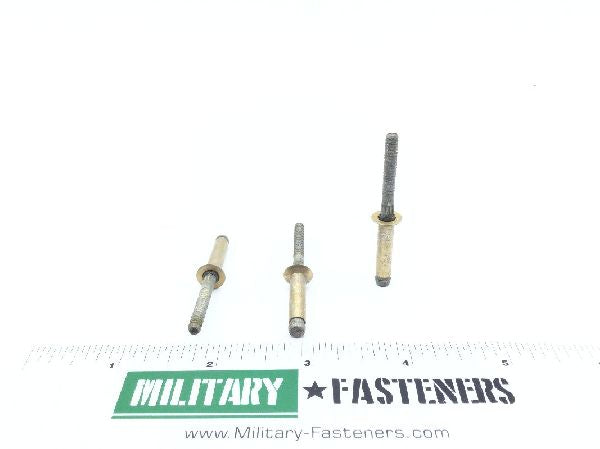 MS90353-0610 Blind Rivet (2)
