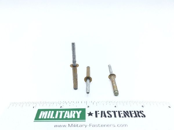 MS90353-0614 Blind Rivet (2)