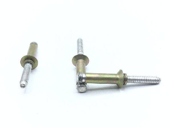 MS90353-0811 Blind Rivet (6)