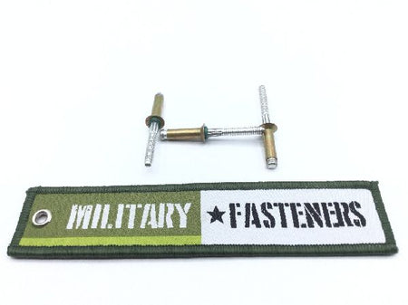 MS90353S0608 Blind Rivet (3)