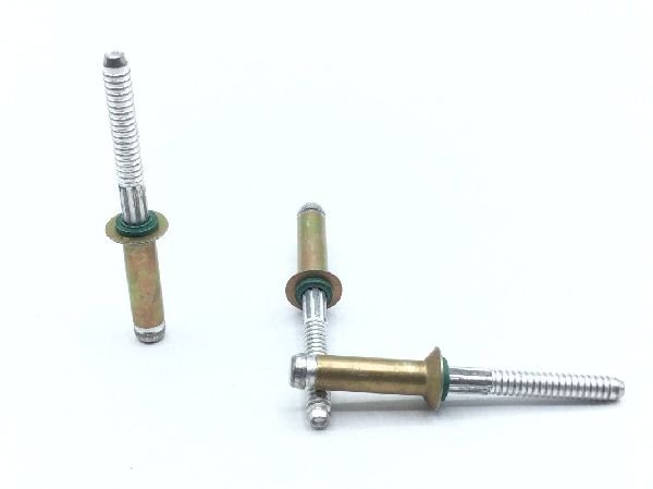 MS90353S0608 Blind Rivet (5)