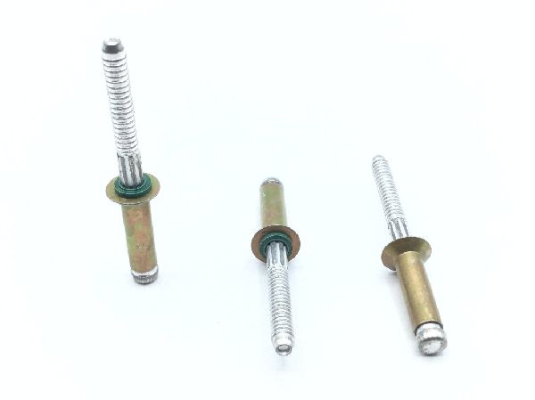 MS90353S0608 Blind Rivet (6)