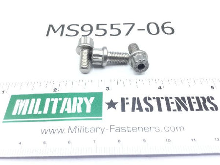 MS9557-06 Machine Bolt