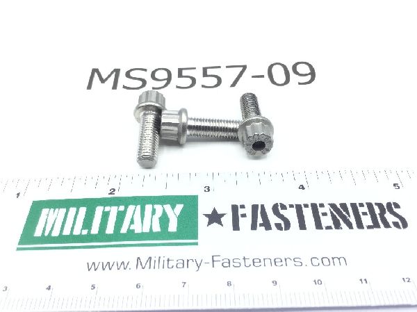 MS9557-09 Machine Bolt