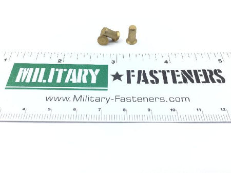 NAS1097AD5-5.5 Solid Rivet (2)