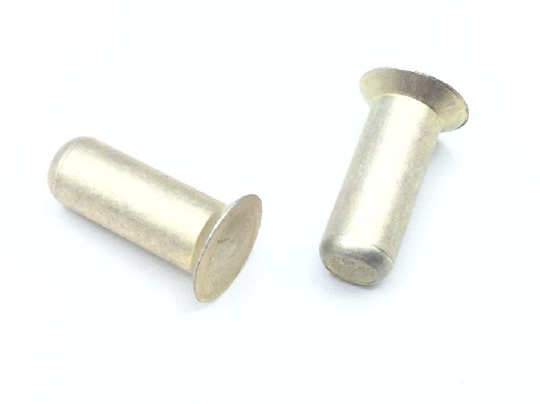 NAS1097AD6-8 Solid Rivet (5)