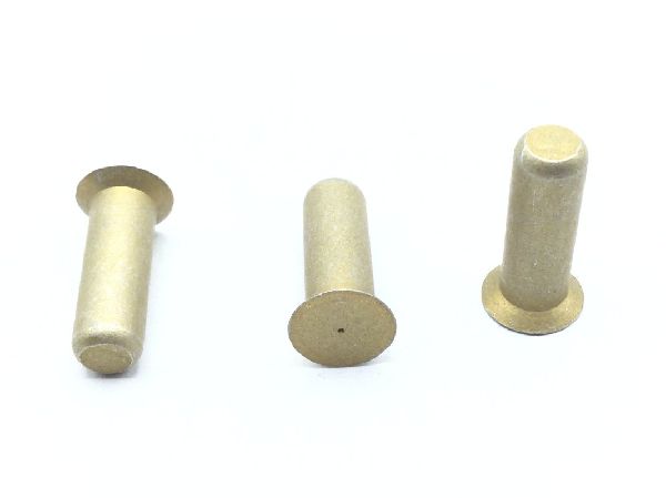 NAS1097AD8-12 Solid Rivet (5)