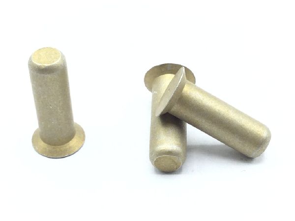 NAS1097AD8-12 Solid Rivet (6)