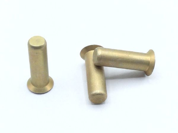 NAS1097D5-8 Solid Rivet (6)