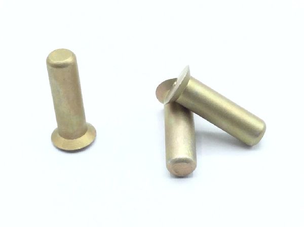 NAS1097D6-10 Solid Rivet (5)