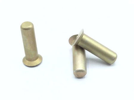 NAS1097D6-10 Solid Rivet (5)