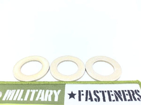 NAS1149D1490J Flat Washer (2)