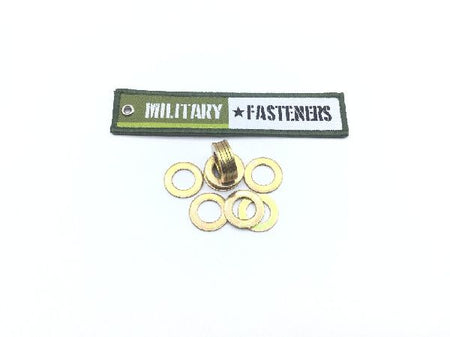 NAS1149F0863P Flat Washer (6)