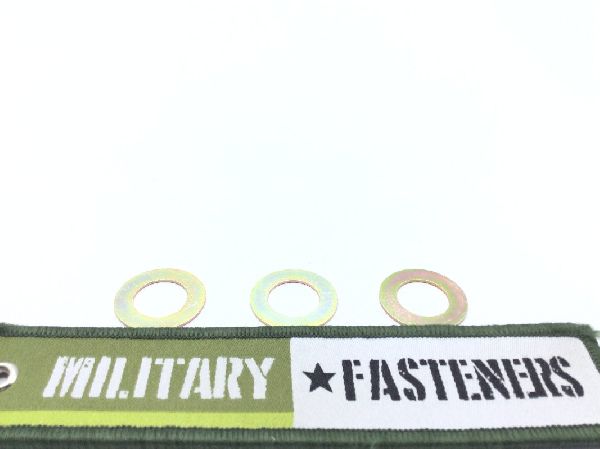 NAS1149G0832P Flat Washer (4)