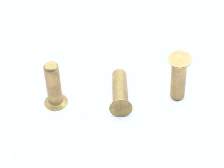 NAS1241AD3-6 Solid Rivet (6)