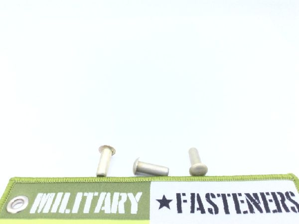NAS1242AD6-10 Solid Rivet (2)