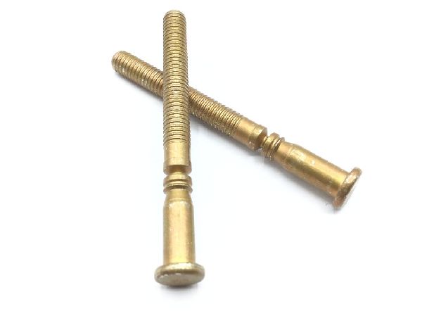 NAS1446-06 Pin-Rivet (5)