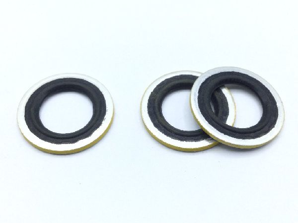 NAS1523AA7Y Packing with Retainer (2)