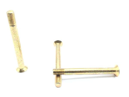NAS517-4-31 Screw (2)