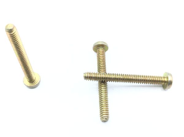 NAS600-16P Machine Screw (2)