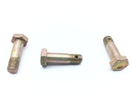 NAS6205-10D Shear Bolt (3)