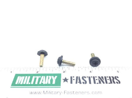 SFSW8C10DL01BK Machine Screw (6)