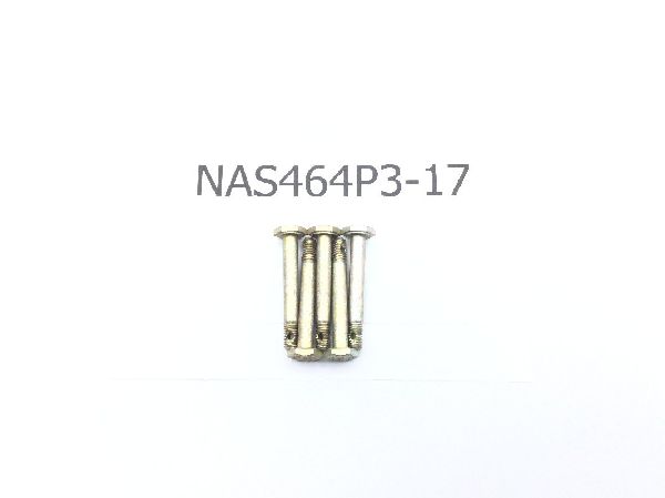 Picture of NAS464P3-17